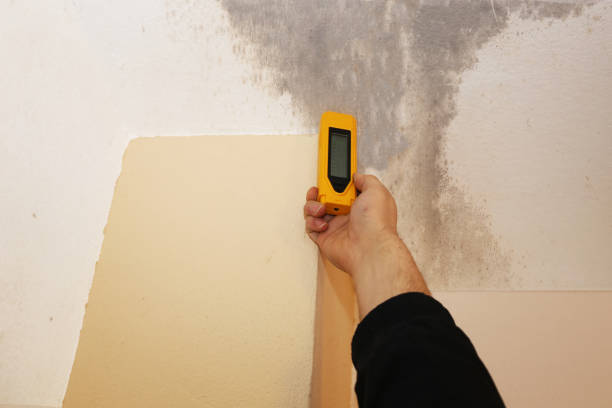 Best Water Damage & Mold Remediation  in Hampstead, NC
