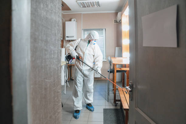Best Residential Mold Inspection & Testing  in Hampstead, NC