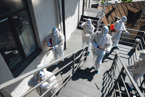 Best Mold Odor Removal Services  in Hampstead, NC