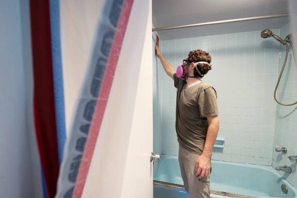 Best Comprehensive Air Testing for Mold Contaminants  in Hampstead, NC