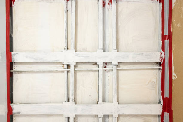 Best Environmental Consulting for Mold Prevention  in Hampstead, NC