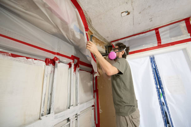Hampstead, NC Mold Removal Company