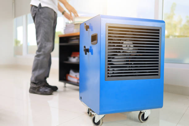 Best Mold-Related Health Consultation  in Hampstead, NC