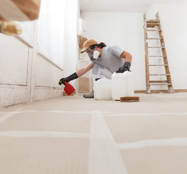 Best Forensic Mold Investigation  in Hampstead, NC