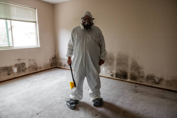 Best HVAC Mold Inspection and Cleaning  in Hampstead, NC